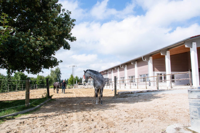 Aktivstall Weidenhalde Impressionen-320