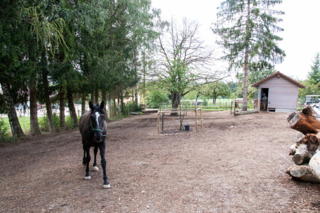 Aktivstall Weidenhalde Impressionen-340